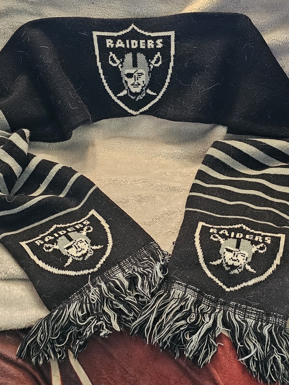 Las Vegas Raiders Black & Silver Team Scarf